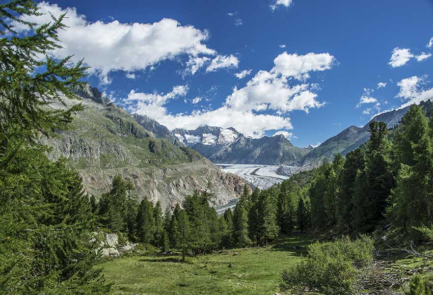 Aletsch Arena