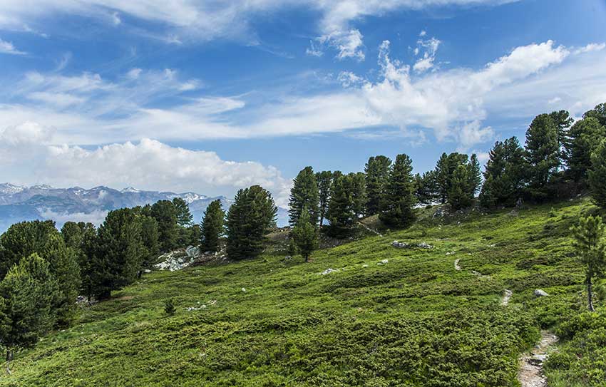 Sentier des charbonniers