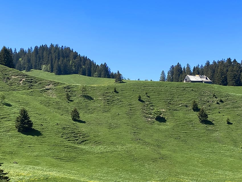 Les Pléiades / La Neuve