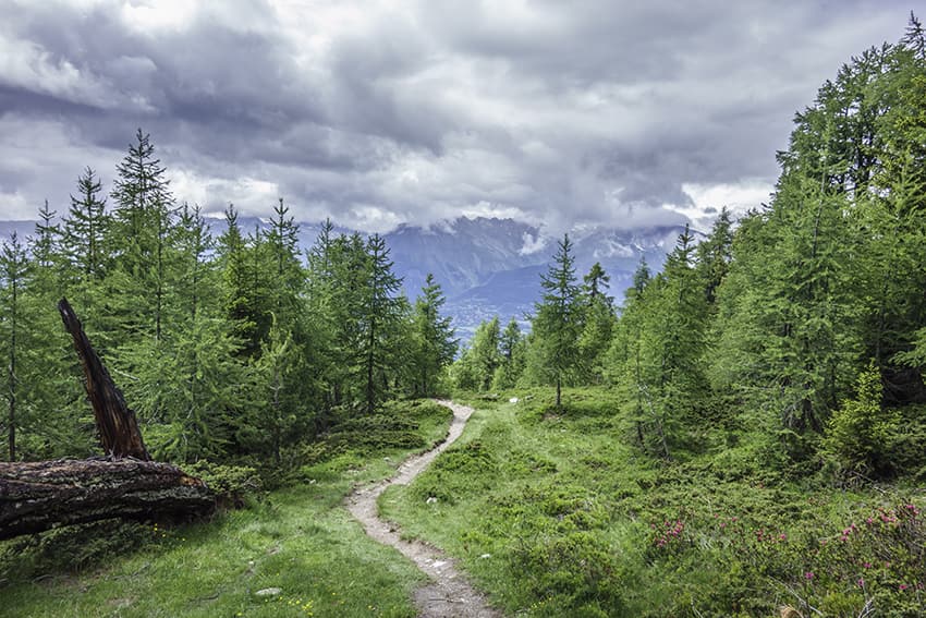 Alpage de Mase / Mont Noble