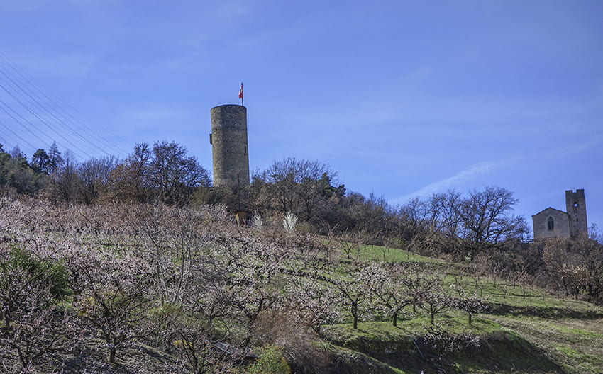 Sentier des abricots, Saxon